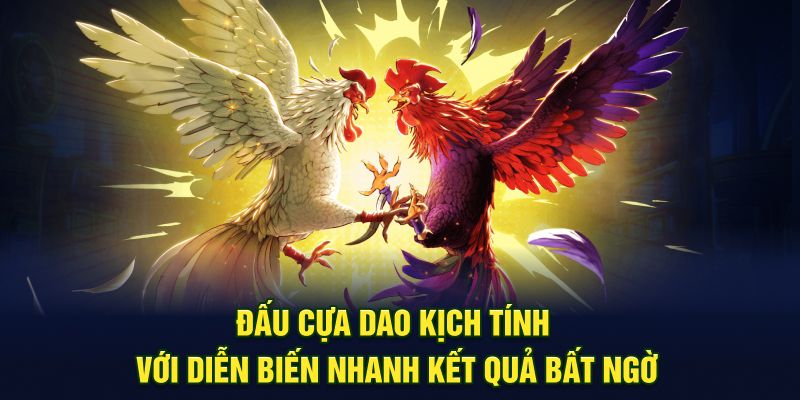 Đấu cựa dao kịch tính với diễn biến nhanh kết quả bất ngờ