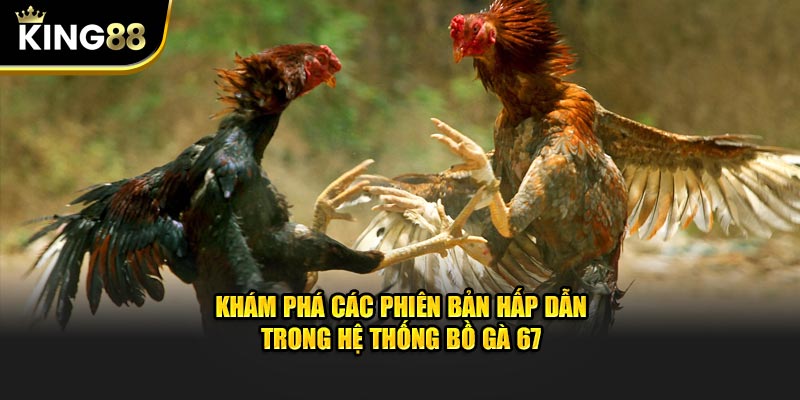 Khám phá các phiên bản hấp dẫn trong hệ thống Bồ Gà 67