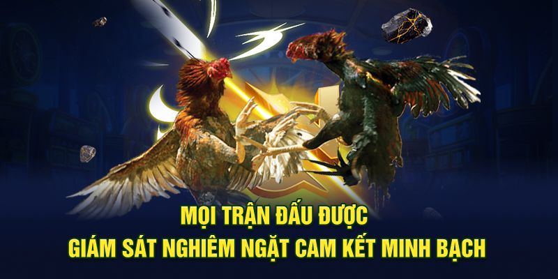 Mọi trận đấu được giám sát nghiêm ngặt cam kết minh bạch